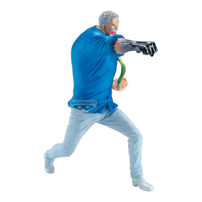 Monkey D. Garp Battle Record Collection - One Piece