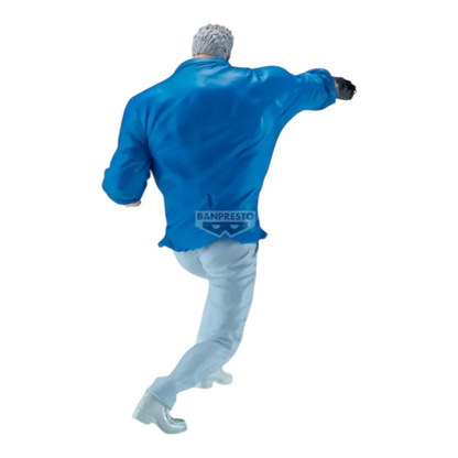 Monkey D. Garp Battle Record Collection - One Piece